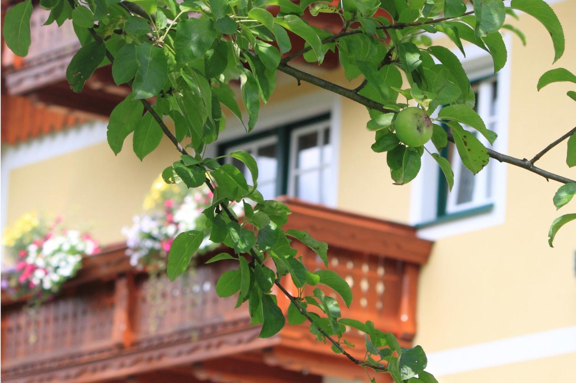 Pension Glitschnerhof Айген  Экстерьер фото