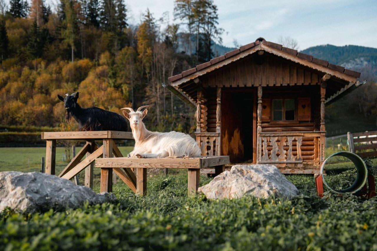 Pension Glitschnerhof Айген  Экстерьер фото